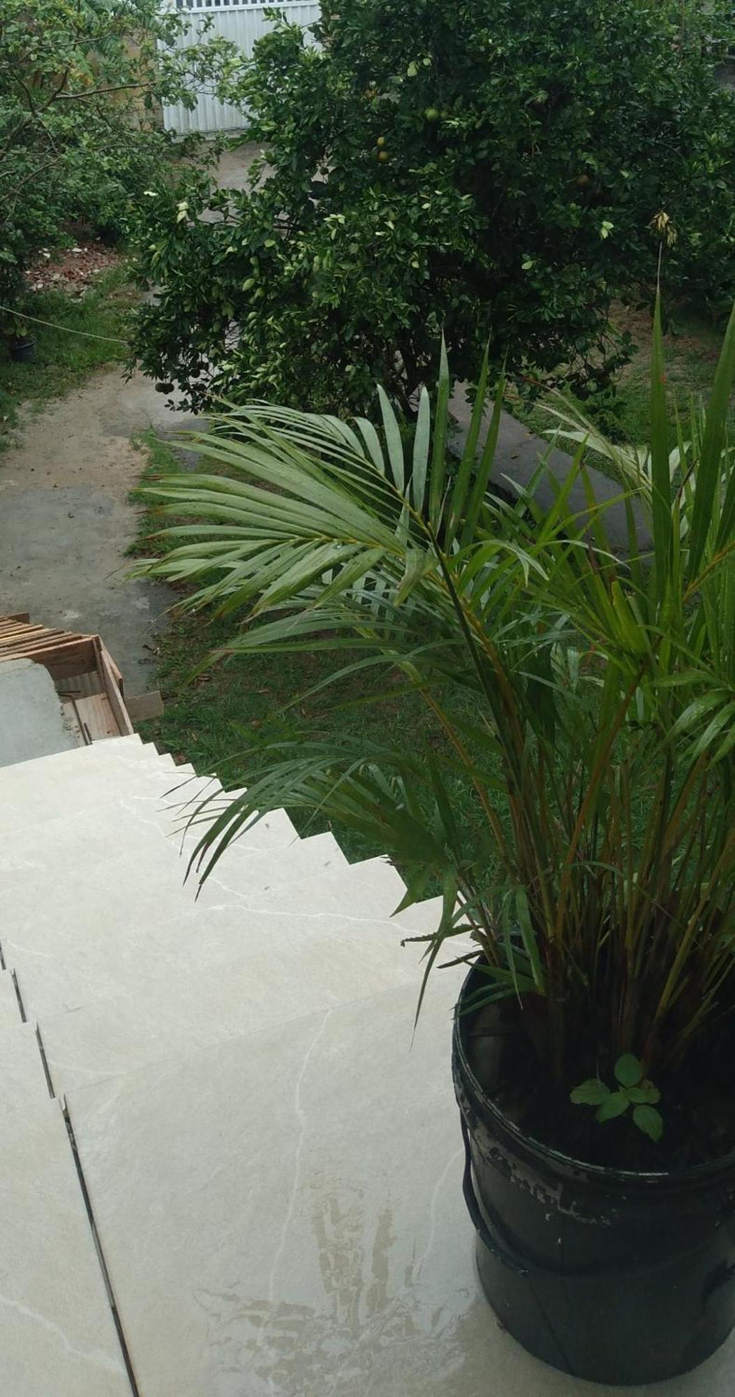 Casa Temporada Cf.18 Villa Cabo Frio Ngoại thất bức ảnh
